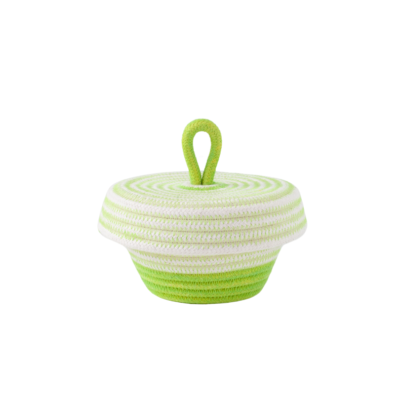 Petite Lidded Basket (XS) -  Pistachio Green Soft Serve (BSK118525W-XS) Main Image